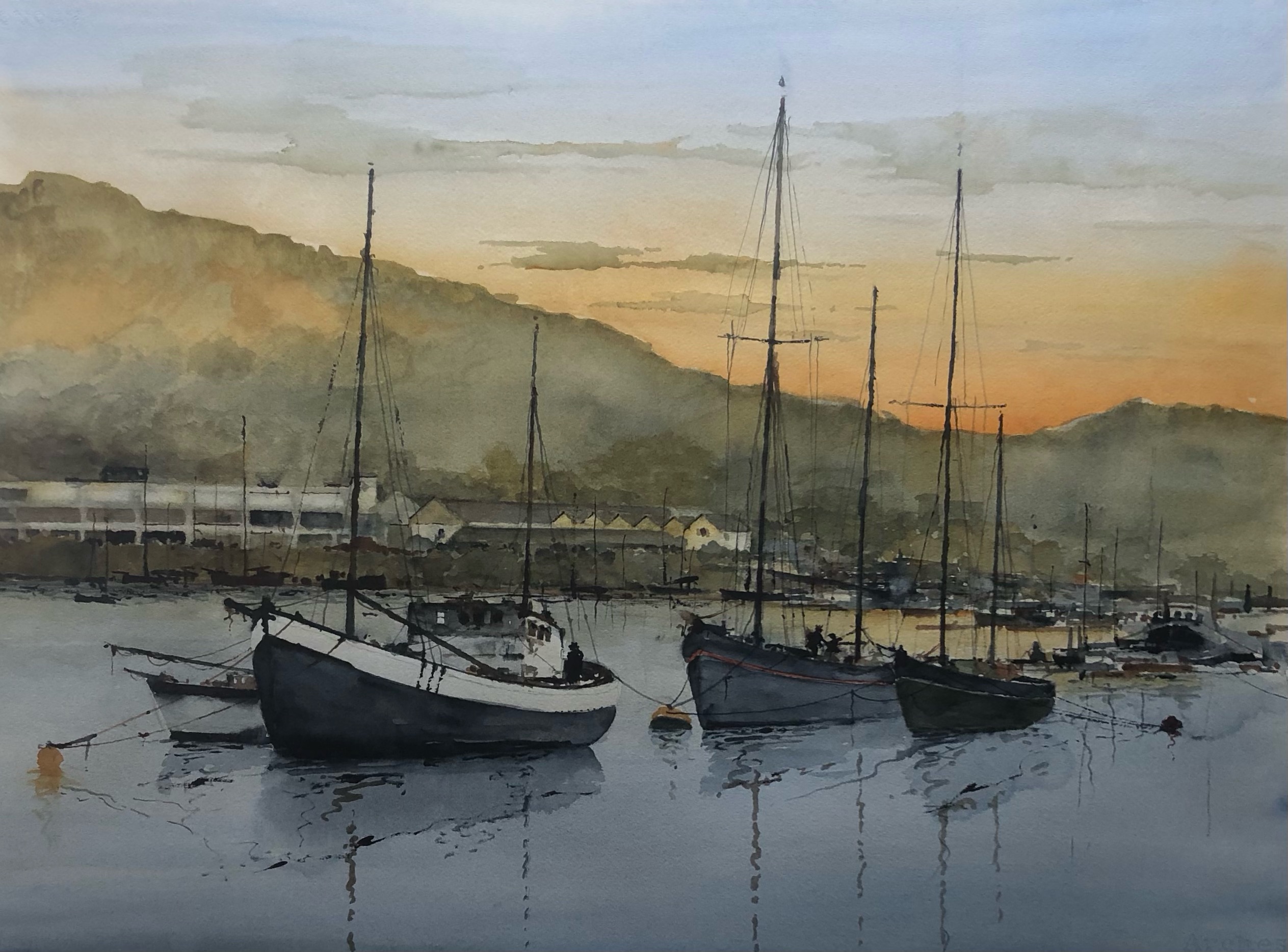 David Norman
