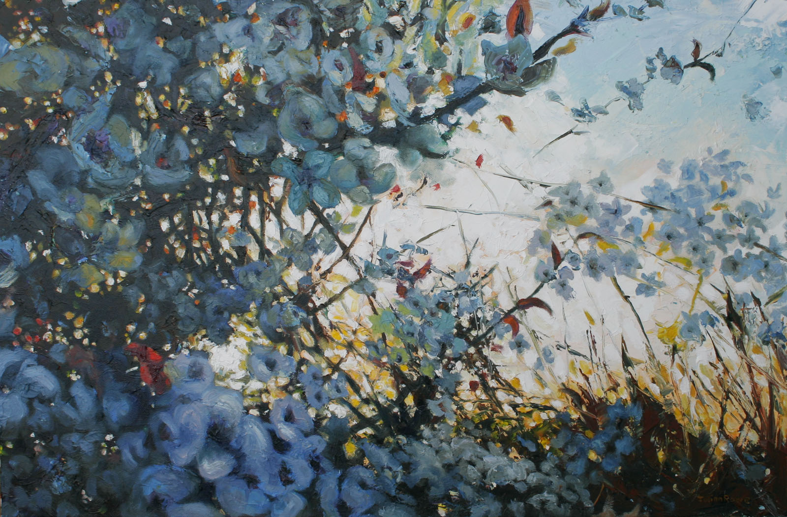 Julian Rowe - Sunset Through Blossom I
